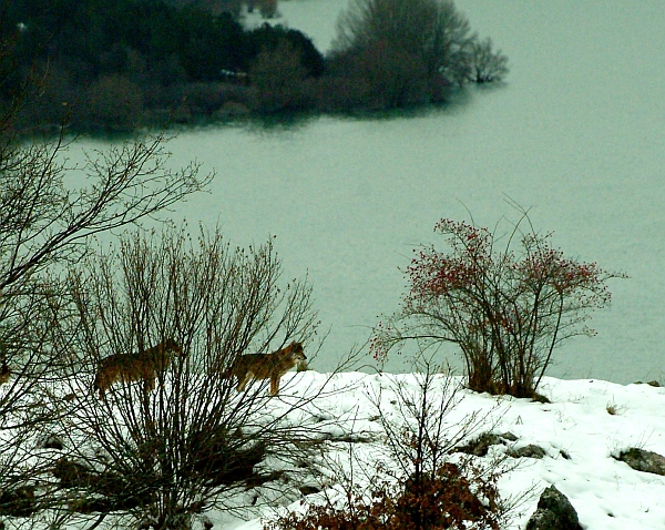 Laghi...dell''ABRUZZO